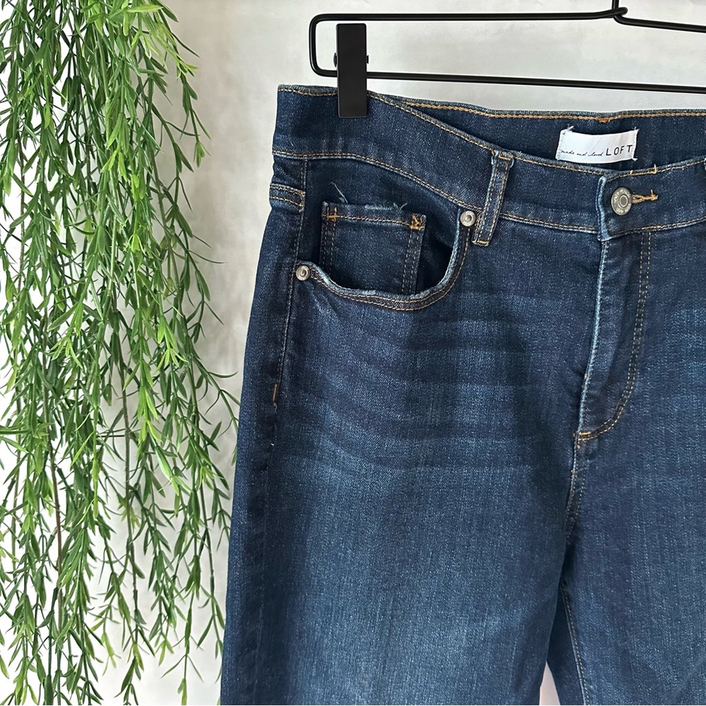 Ann Taylor LOFT Jeans Women’s The Skinny Size 28